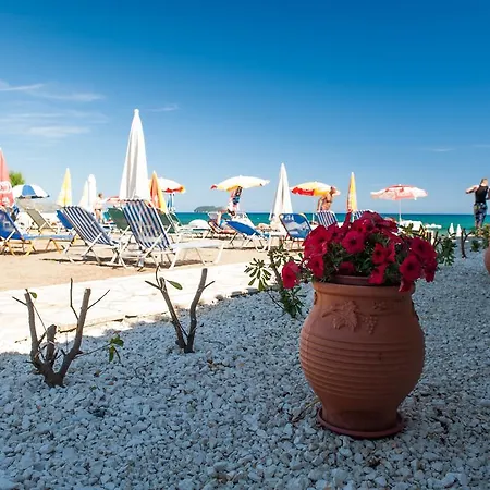 Hotel, Zakynthos Island ホテル 3*